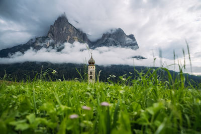 Scenic view of grassy field against sky