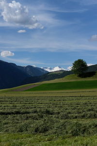 Scenic view of field against sky