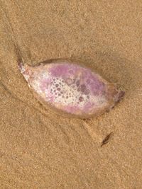 Close-up of sandy beach