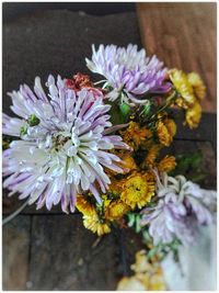 Close-up of purple flowers