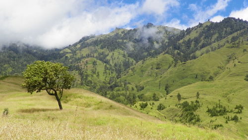 Scenic view of green landscape against sky