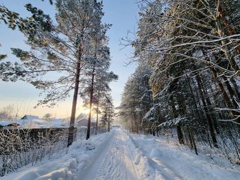 snow