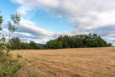 Trees on field against sky