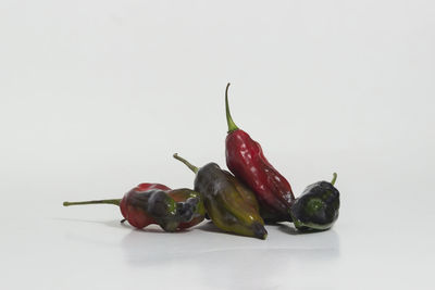 Close-up of red chili pepper over white background