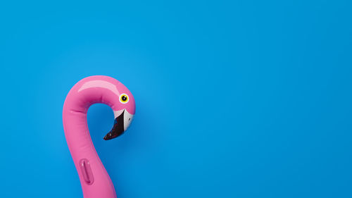 Close-up of a bird against blue background