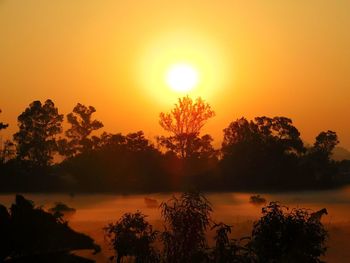 Silhouette trees by lake against orange sky