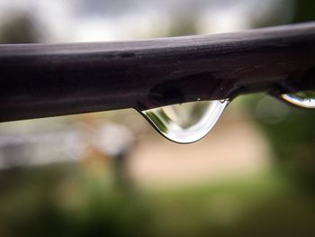 Close-up of water drops on leaf