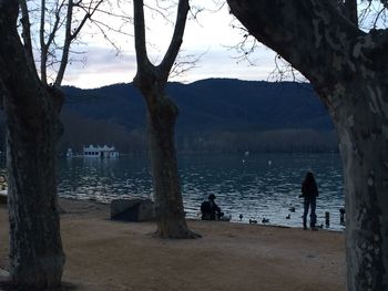 Reflection of trees in water