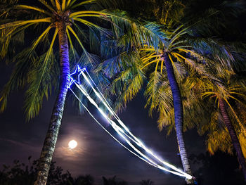 Low angle view of palm trees against sky at night