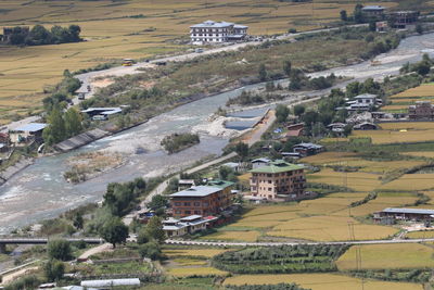 Aerial view of agricultural field