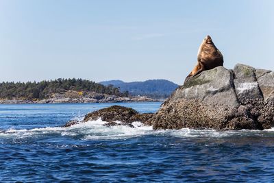 View of a rock in sea