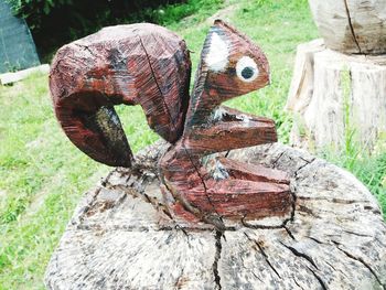 Close-up of tree trunk