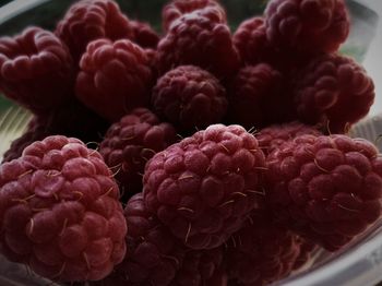 Close-up of fruits for sale