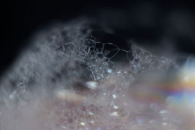 Close-up of water drops on spider web