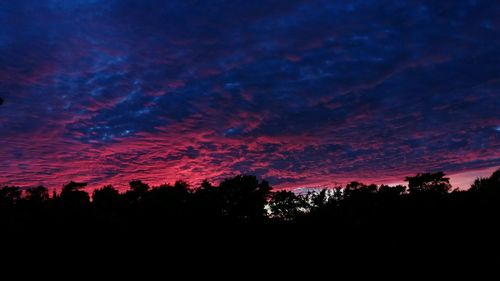 Silhouette trees against dramatic sky during sunset