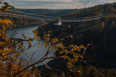 High angle view of bridge over plants during autumn