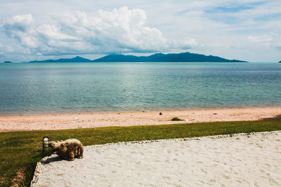 Scenic view of beach against sky