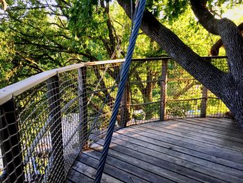 Close-up of railing against trees