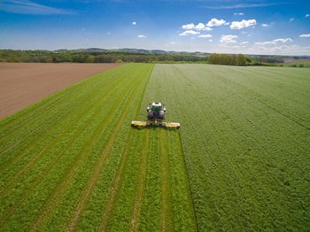 Scenic view of agricultural field against sky