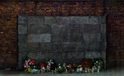 View of blue wall with red flowers