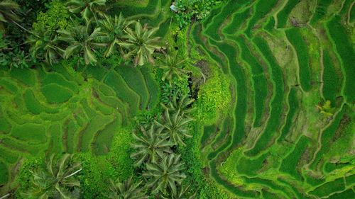 Full frame shot of landscape