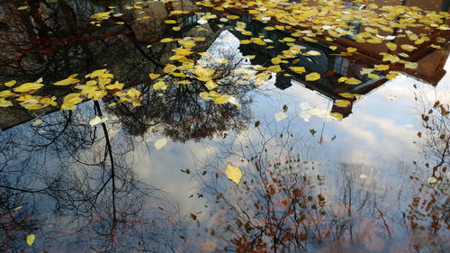 Reflection of autumn leaves on lake