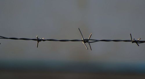 Close-up of barbed wire