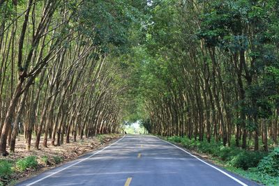 Road amidst trees in forest