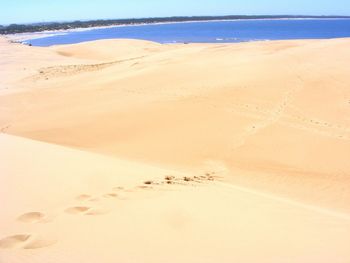 Scenic view of beach