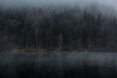 Scenic view of lake in forest against sky