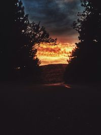 Silhouette trees on landscape against sky at sunset