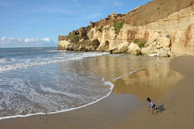 Emperor nero's villa ruins on the beach and dog looking at waves