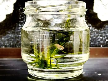 Close-up of drink in glass jar on table