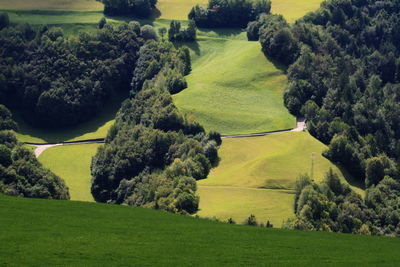 Scenic view of golf course