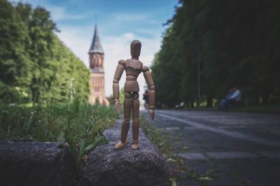 Rear view of man on tree