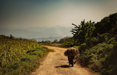 Dirt road amidst plants on field against sky