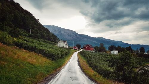 Road amidst green landscape against sky