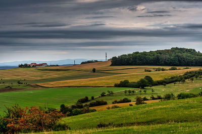 Scenic view of agricultural field against sky