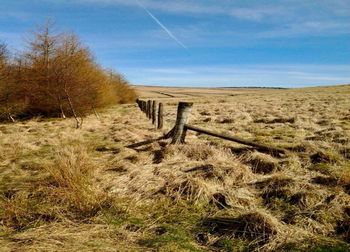 Fence on field against sky