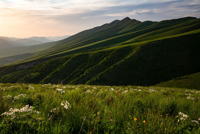 Scenic view of landscape against sky