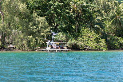 Boat sailing in sea