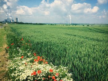 Scenic view of field against cloudy sky