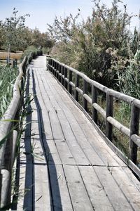 Midsection of woman on tree against sky