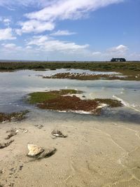 Scenic view of beach against sky