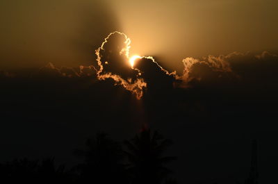 Low angle view of silhouette trees against sky at night