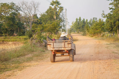 Horse cart on dirt road amidst trees in forest