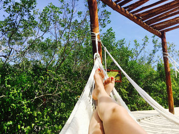 Low section of woman relaxing on hammock