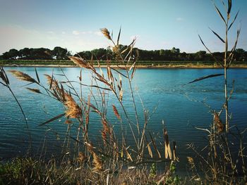 Scenic view of lake against sky