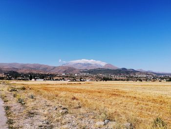 Scenic view of field against clear blue sky