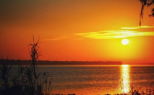 Scenic view of sea during sunset